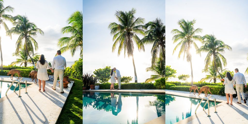 palm trees and cayman islands wedding